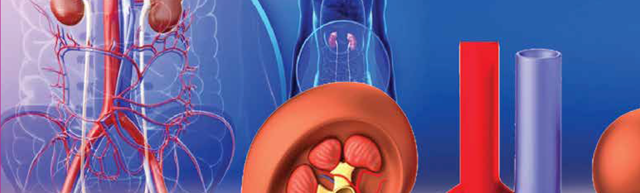 Mediproducts Guatemala